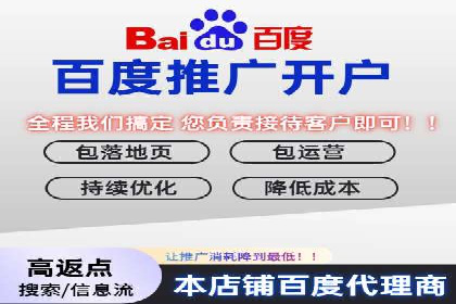 百度SEO推广策略解析：某知名企业的成功经验